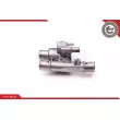 Thermostat, liquide de refroidissement ESEN SKV 20SKV053 - Visuel 2