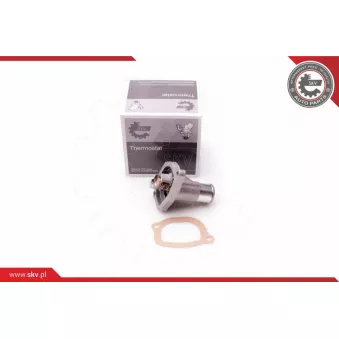 Thermostat, liquide de refroidissement ESEN SKV 20SKV055