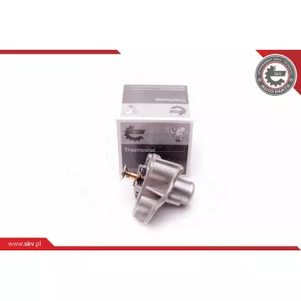 Thermostat, liquide de refroidissement ESEN SKV 20SKV069