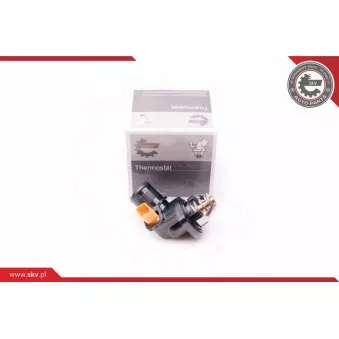 Thermostat, liquide de refroidissement ESEN SKV 20SKV078