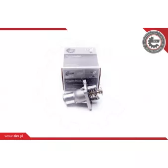 Thermostat, liquide de refroidissement ESEN SKV 20SKV081