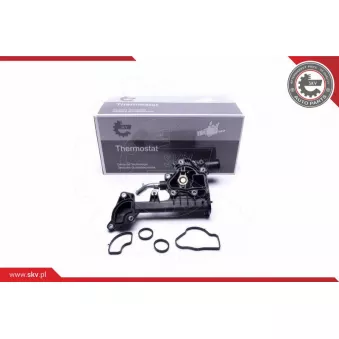 Thermostat, liquide de refroidissement ESEN SKV 20SKV091