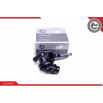 Thermostat, liquide de refroidissement ESEN SKV 20SKV098