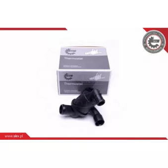 Thermostat, liquide de refroidissement ESEN SKV 20SKV101