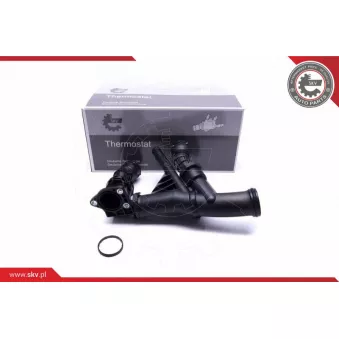 Thermostat, liquide de refroidissement ESEN SKV 20SKV106