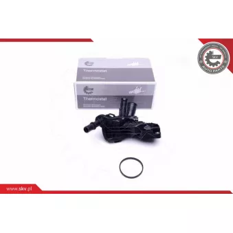 Thermostat, liquide de refroidissement ESEN SKV 20SKV111