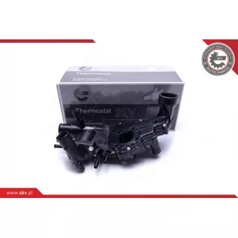 Thermostat, liquide de refroidissement ESEN SKV 20SKV112