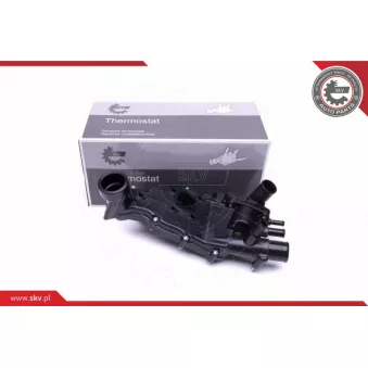 Thermostat, liquide de refroidissement ESEN SKV 20SKV113