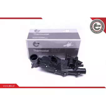 Thermostat, liquide de refroidissement ESEN SKV 20SKV114