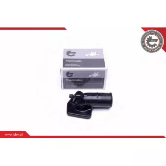 Thermostat, liquide de refroidissement ESEN SKV 20SKV115