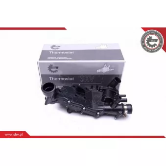 Thermostat, liquide de refroidissement ESEN SKV 20SKV116