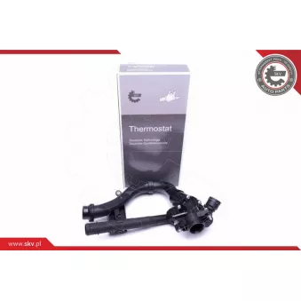 Thermostat, liquide de refroidissement ESEN SKV 20SKV121