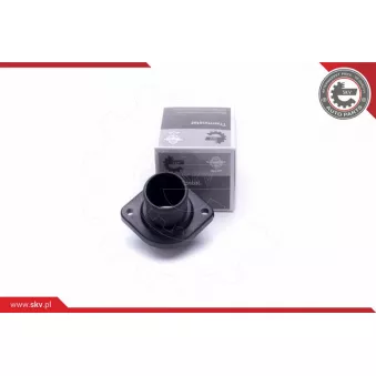 Thermostat, liqiuide de refroidissement ESEN SKV 20SKV129