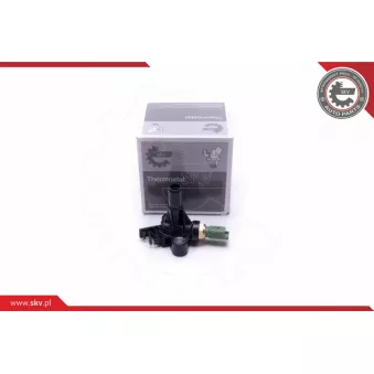 Sonde de température, liquide de refroidissement ESEN SKV