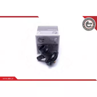 Thermostat, liqiuide de refroidissement ESEN SKV 20SKV133