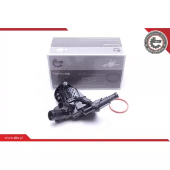 Thermostat, liqiuide de refroidissement ESEN SKV 20SKV137