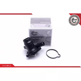 Thermostat, liqiuide de refroidissement ESEN SKV 20SKV138