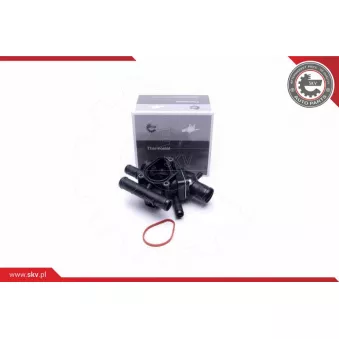 Thermostat, liqiuide de refroidissement ESEN SKV 20SKV142