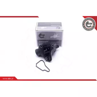 Thermostat, liqiuide de refroidissement ESEN SKV 20SKV149
