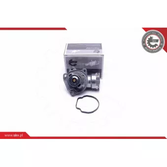 Thermostat, liqiuide de refroidissement ESEN SKV 20SKV150