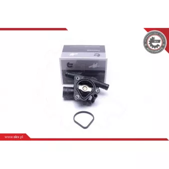 Thermostat, liqiuide de refroidissement ESEN SKV 20SKV152