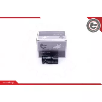 Thermostat d'eau ESEN SKV 20SKV153