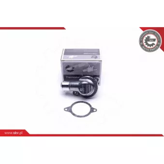 Thermostat, liqiuide de refroidissement ESEN SKV