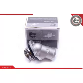Thermostat, liqiuide de refroidissement ESEN SKV 20SKV156
