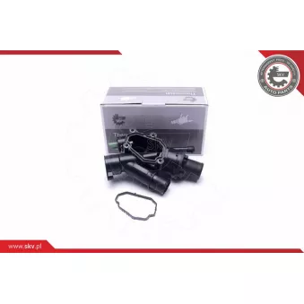 Thermostat, liqiuide de refroidissement ESEN SKV