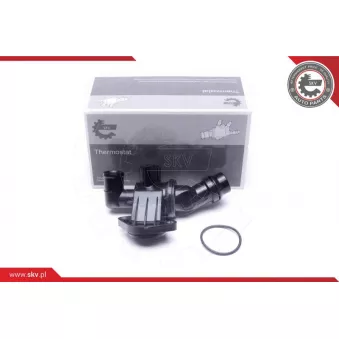 Thermostat, liqiuide de refroidissement ESEN SKV 20SKV162