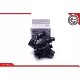 Thermostat, liqiuide de refroidissement ESEN SKV 20SKV164
