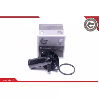 Thermostat, liqiuide de refroidissement ESEN SKV 20SKV165