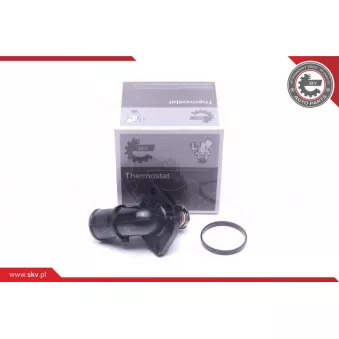 Thermostat, liqiuide de refroidissement ESEN SKV 20SKV166