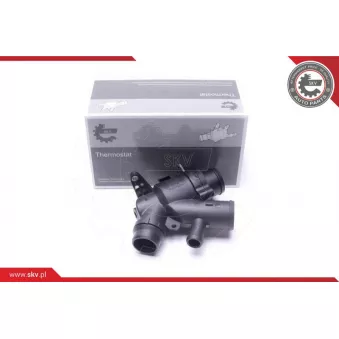 Thermostat, liqiuide de refroidissement ESEN SKV 20SKV169