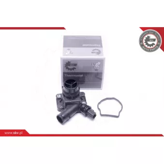 Thermostat, liqiuide de refroidissement ESEN SKV 20SKV170