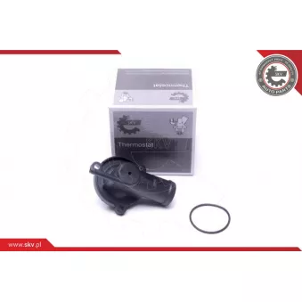 Thermostat, liqiuide de refroidissement ESEN SKV 20SKV176