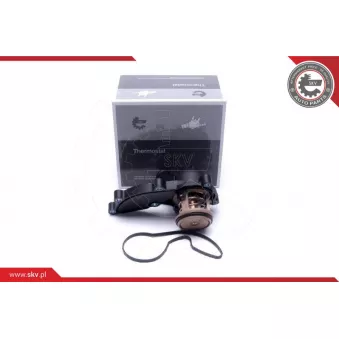 Thermostat, liqiuide de refroidissement ESEN SKV 20SKV178