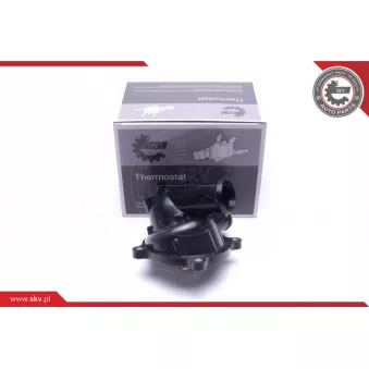 Thermostat, liqiuide de refroidissement ESEN SKV 20SKV179