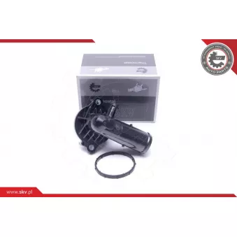 Thermostat, liqiuide de refroidissement ESEN SKV