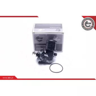 Thermostat, liqiuide de refroidissement ESEN SKV