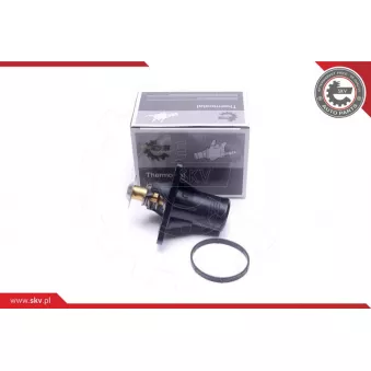 Thermostat, liqiuide de refroidissement ESEN SKV 20SKV193