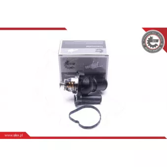 Thermostat, liqiuide de refroidissement ESEN SKV 20SKV194