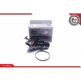 Thermostat, liqiuide de refroidissement ESEN SKV 20SKV195