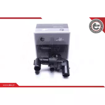 Thermostat, liqiuide de refroidissement ESEN SKV 20SKV203