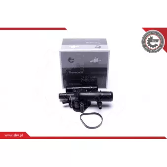 Thermostat, liqiuide de refroidissement ESEN SKV 20SKV204