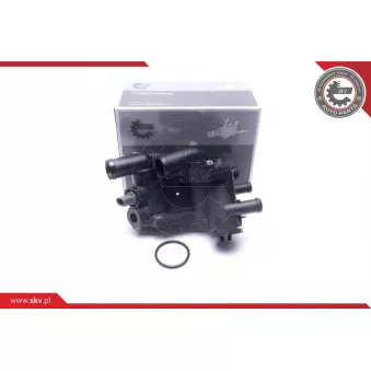 Thermostat, liqiuide de refroidissement ESEN SKV 20SKV207