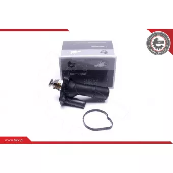 Thermostat, liqiuide de refroidissement ESEN SKV 20SKV209