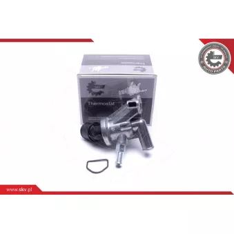 Thermostat, liqiuide de refroidissement ESEN SKV 20SKV214