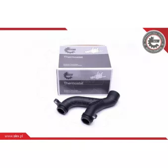 Boîtier du thermostat ESEN SKV 20SKV604