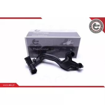 Boîtier du thermostat ESEN SKV 20SKV605